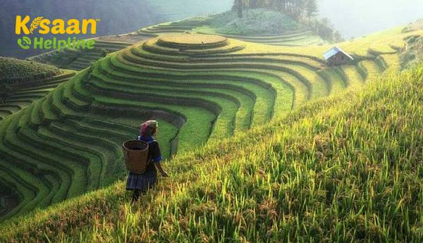 एग्रीटेक इनोवेशन का 2030 तक भारतीय कृषि पर एक आउटसाइज़ प्रभाव पड़ना है